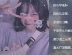 小姐姐的花缘花艺,小姐姐的创意花卉世界