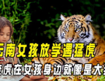 -阿里巴巴及塑料奶瓶模范口及幼奶瓶包装瓶-幼包装瓶批发、促销价钱、产地货源-阿里巴巴及色99精品视频欧美正在线观望推选-推选批发、促销价钱、产地货源
