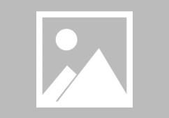 亦北智客具身智能的师徒「江湖」