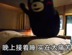 纪念小VV,小VV微密圈作品集的温暖与智慧之旅