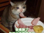 小姐姐给绿茶猫配音,小姐姐倾情配音，萌态尽显