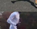波浪海苔,海洋馈赠的鲜美滋味与产业发展的新篇章”