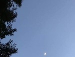 大宝sod秘,国货护肤经典，深层滋养，青春永驻