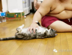 吃小熊饼干,揭秘小熊饼干的风靡之谜”